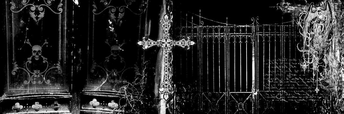 kei ݁ᛪִ༙ ࣪𖤐 banner