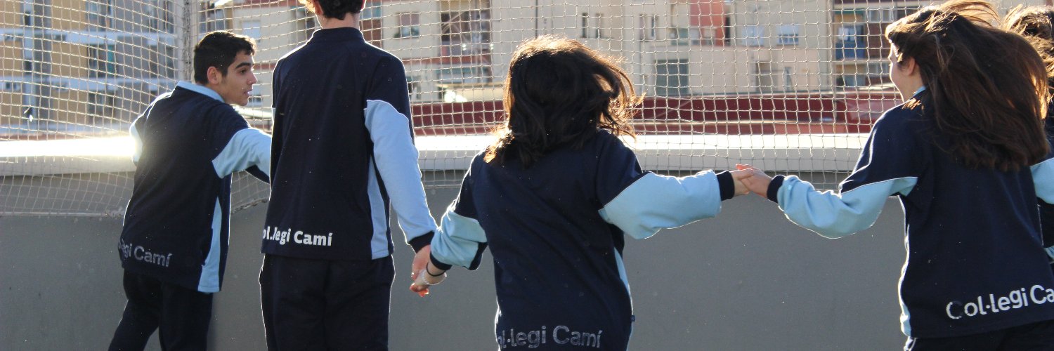 Col·legi Cami banner