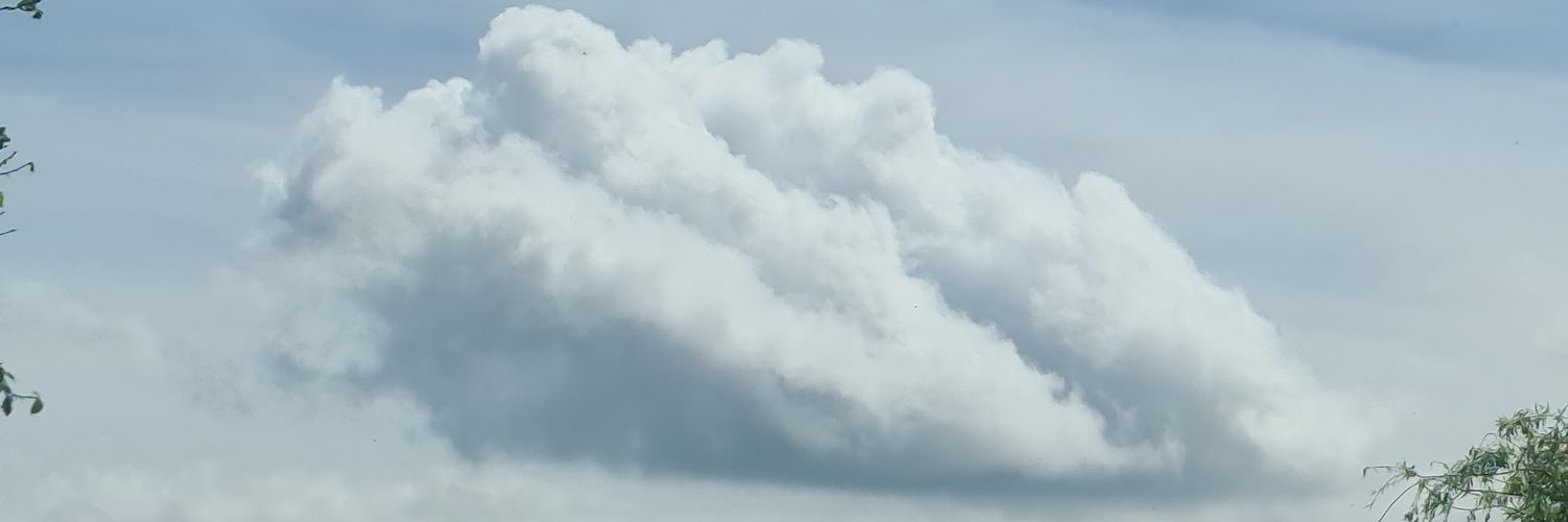 titoweedlover's profile banner image