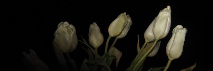 YUEJ - barely breathing banner