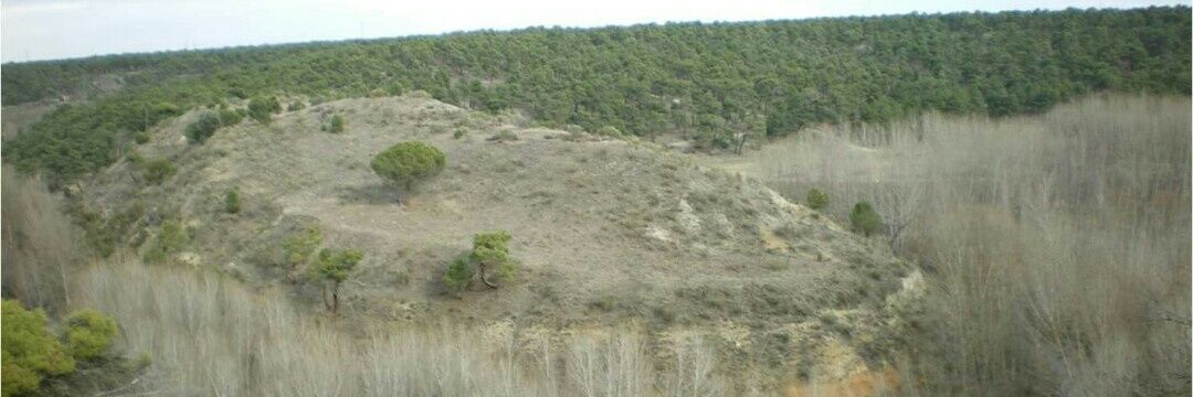 arqueopdelmoro's profile banner image