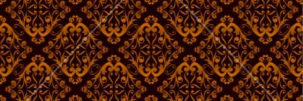 Aninditha19 Profile Banner