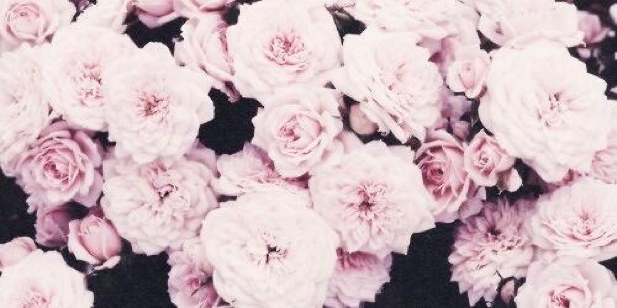 GhaidaAhmad_'s profile banner image