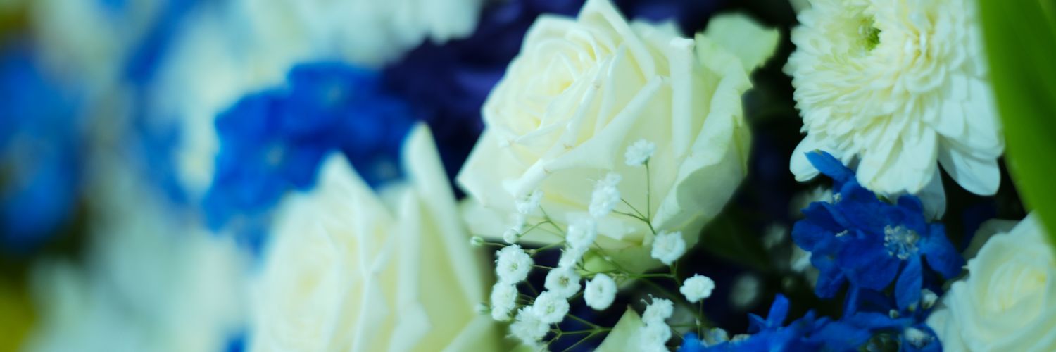 しおり🧸🧸 banner