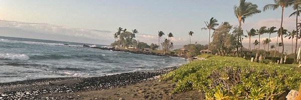 AllisonGHaysMD Profile Banner