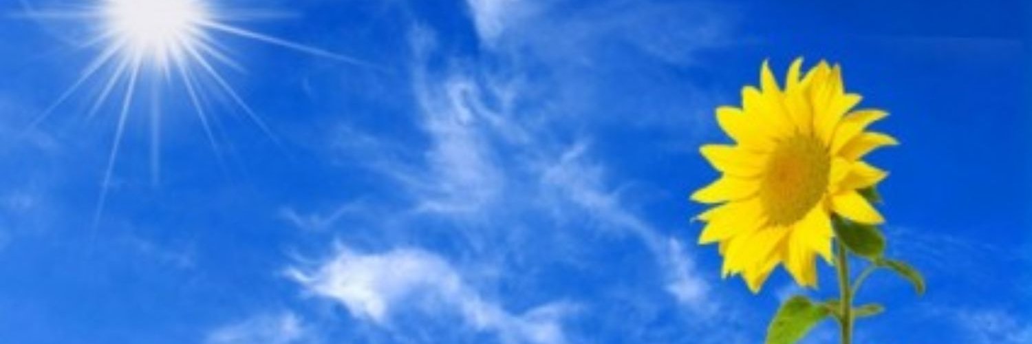 I will be a light to you. banner