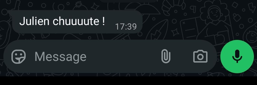 Julien Rocher banner