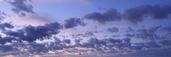Exulansista Profile Banner