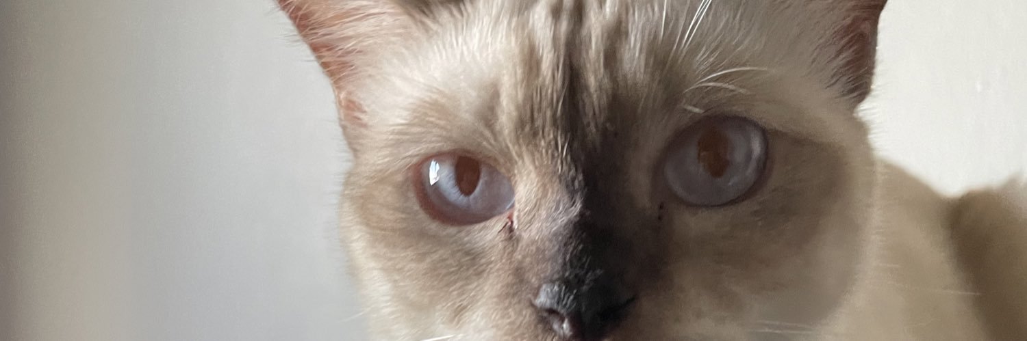 หิว banner