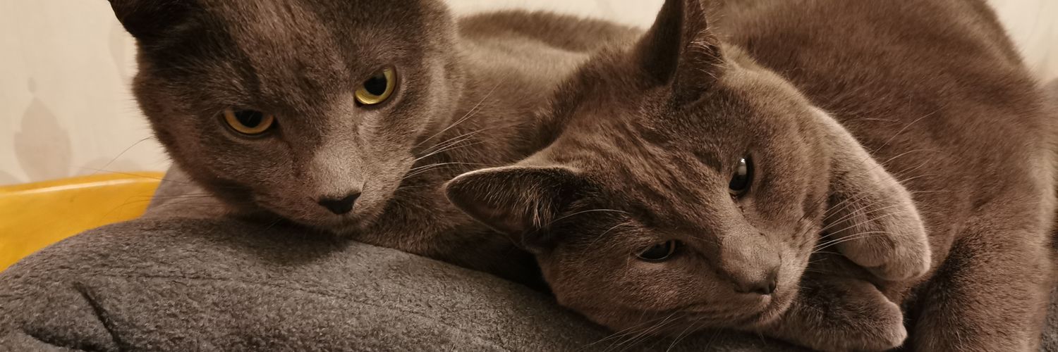 Geraint Evans is: AuDHD banner