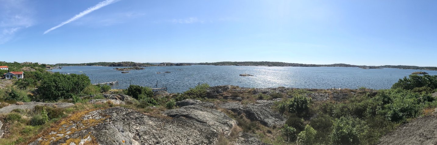 Alberto Bacchelli banner