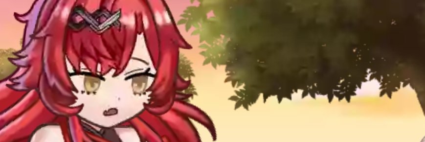 ZeldaFELady's profile banner image