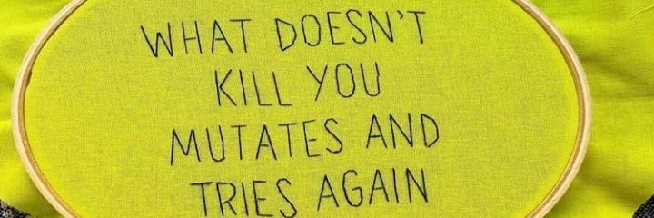 omi for short. banner