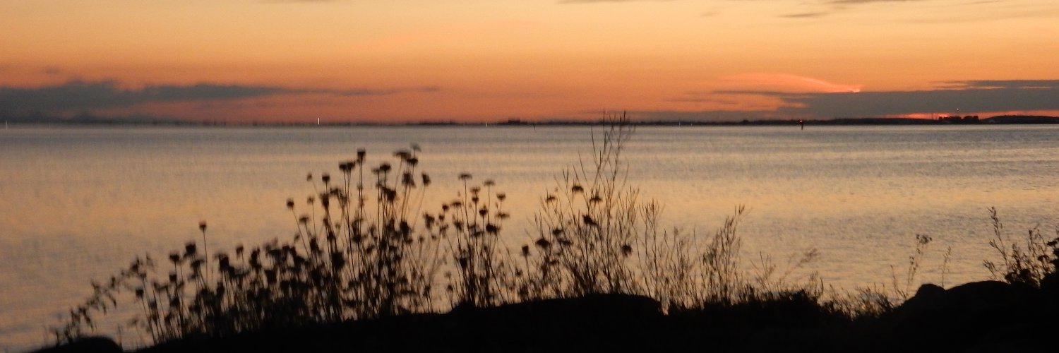HeidiGreco47's profile banner image