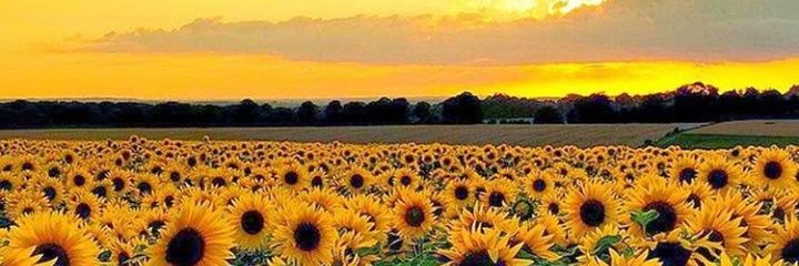 agussmazzarotti's profile banner image