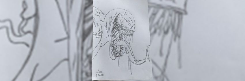 Vnom banner