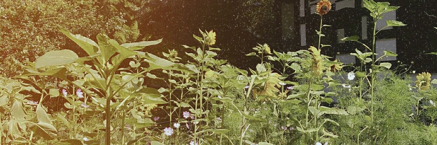 JessicaMJW's profile banner image