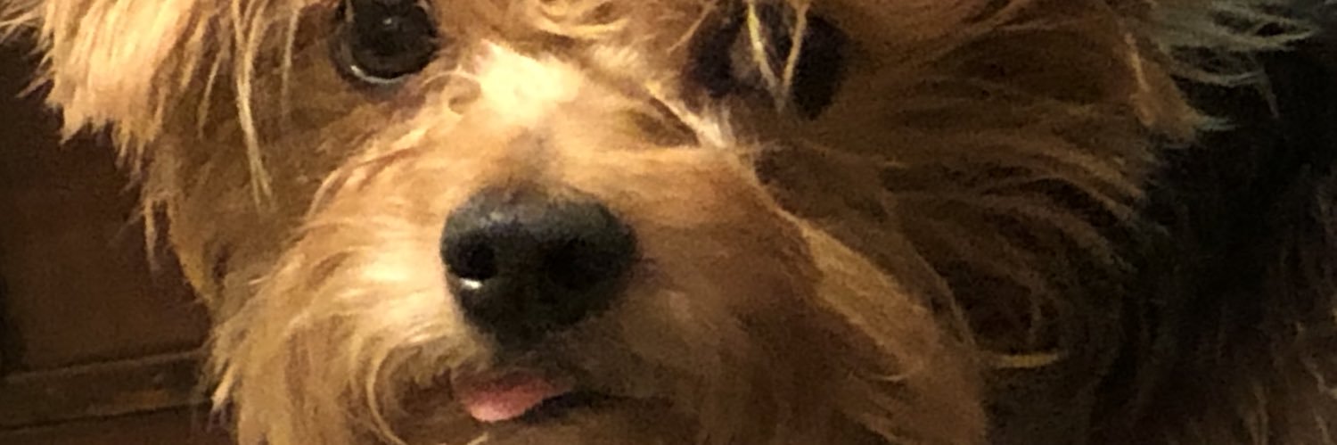 BoozeGolf's profile banner image