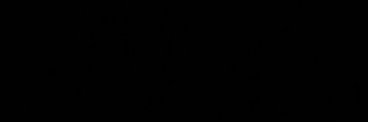 Shushti1997's profile banner image
