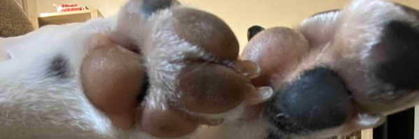 Thalgrund Profile Banner