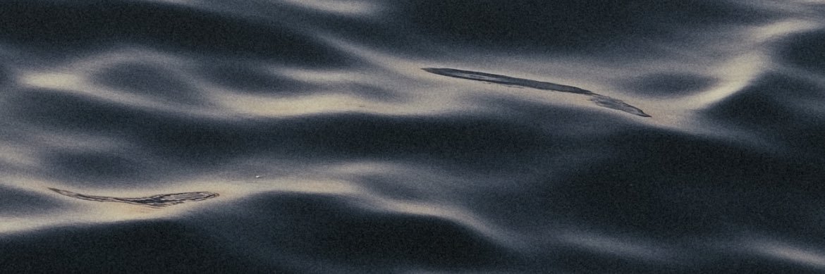 Dream Roamer banner