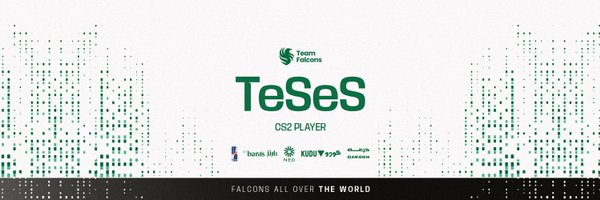 TesesCS Profile Banner