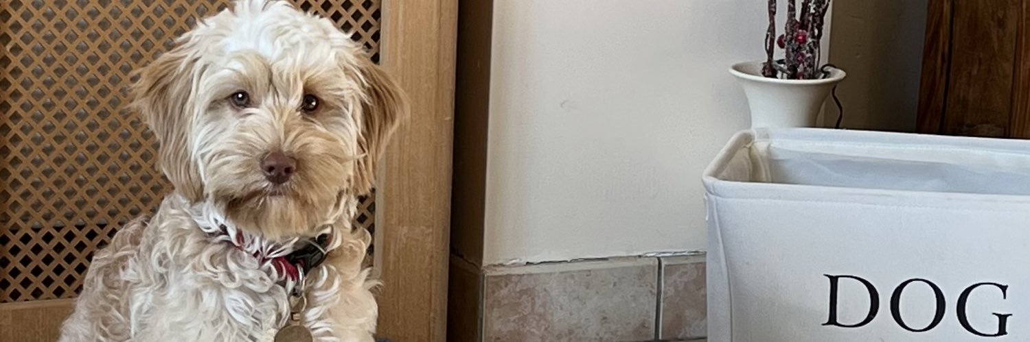 smoules's profile banner image