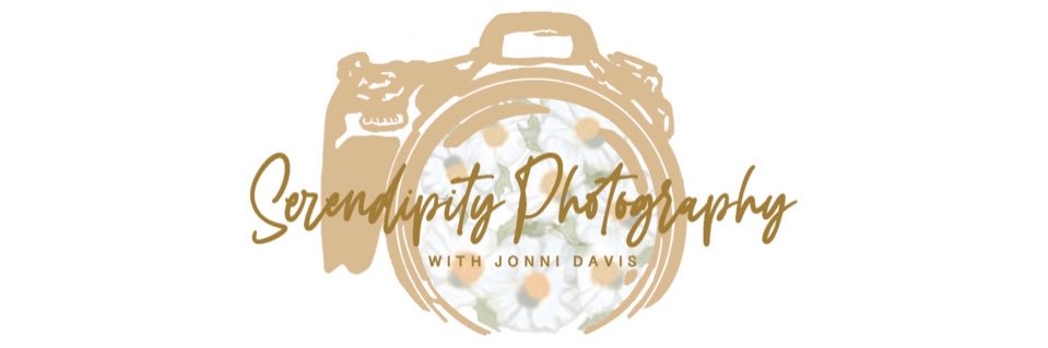 Serendipity 📸 banner