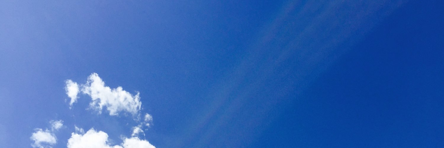 smujoo's profile banner image