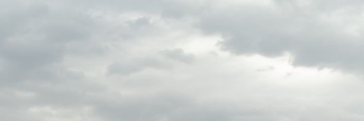 fioore11's profile banner image
