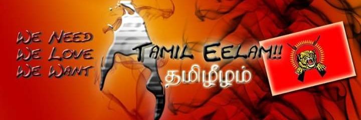 SinegaP's profile banner image