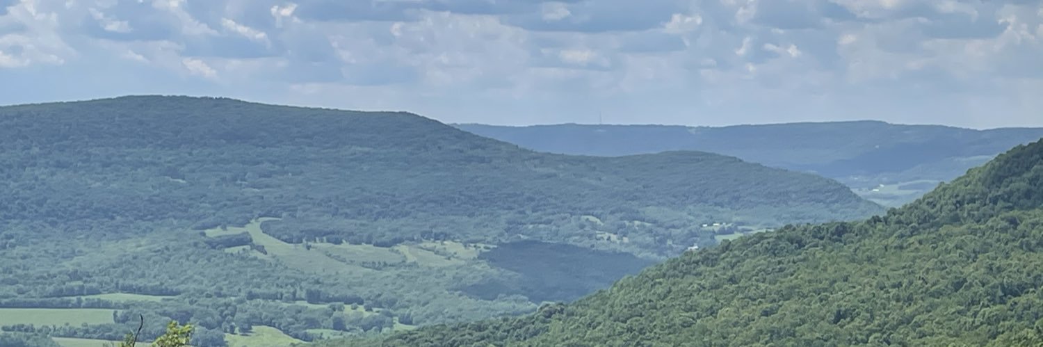 SarahBookout's profile banner image