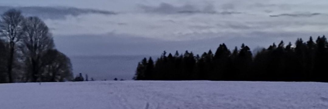 GCourtiade's profile banner image
