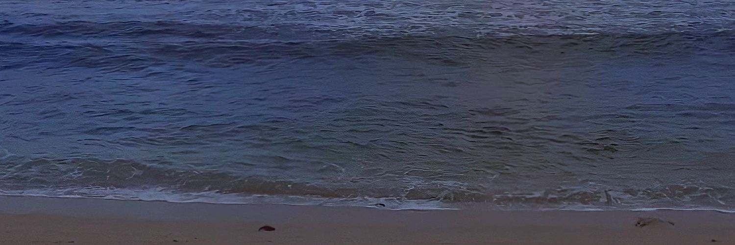 c banner