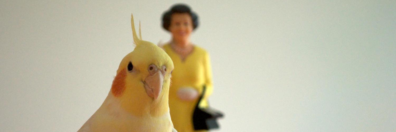 EllenBuntinx's profile banner image