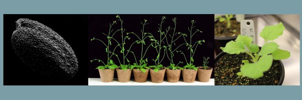 Armandomics Profile Banner