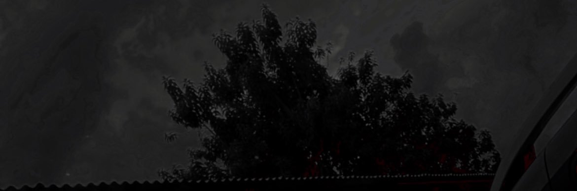 leon banner