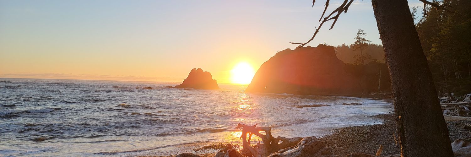 Matt Englander banner