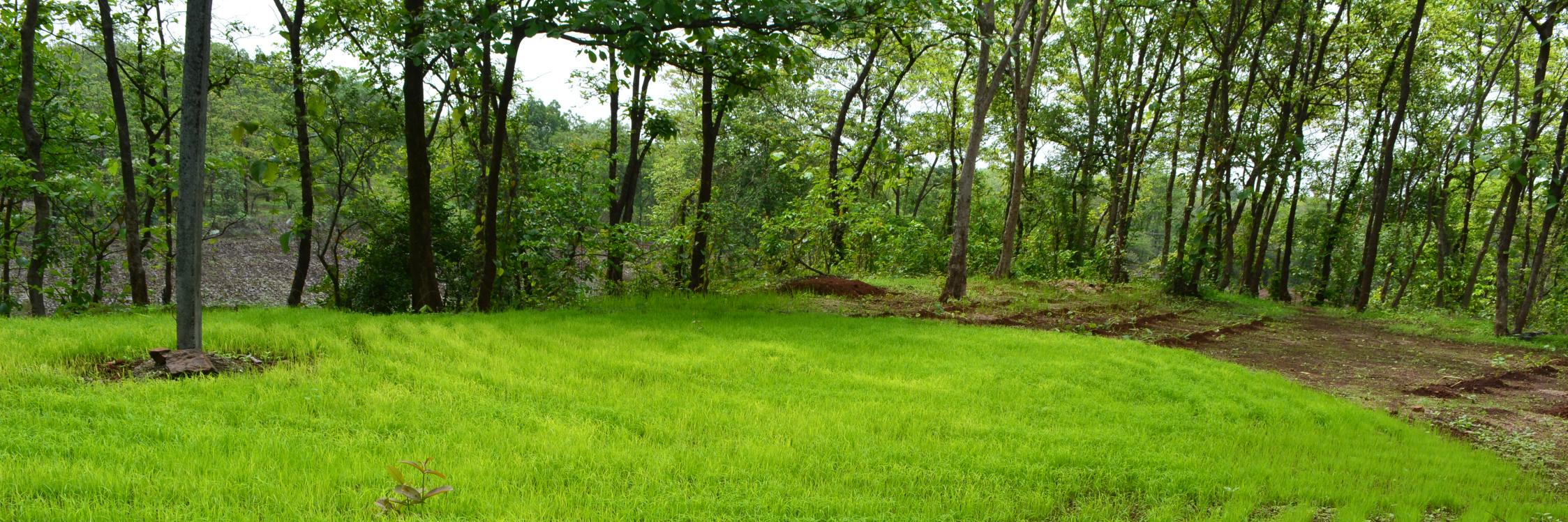 malikmukesh's profile banner image