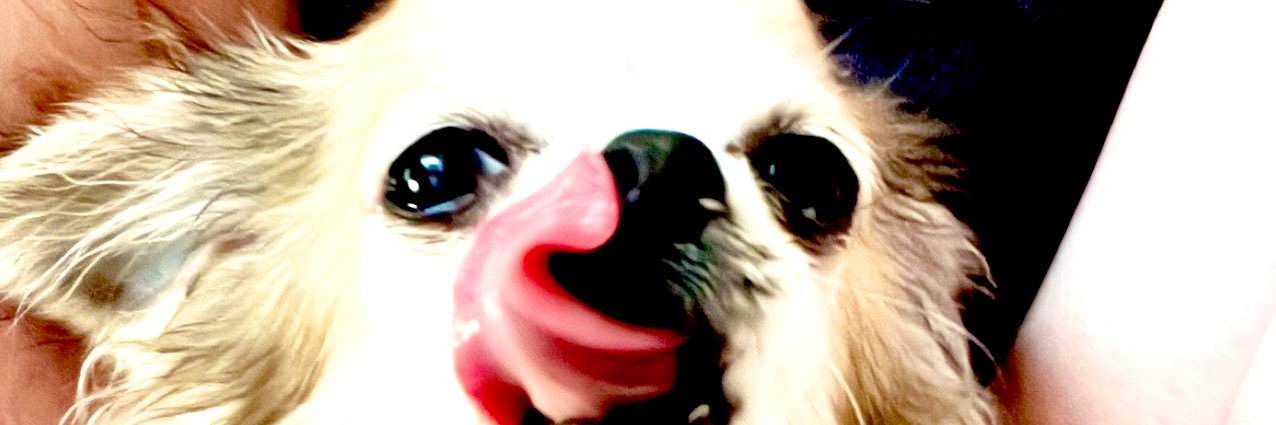 daikingmania's profile banner image