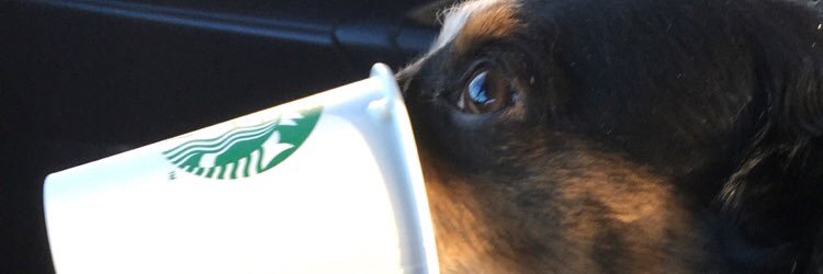 Liakinss's profile banner image
