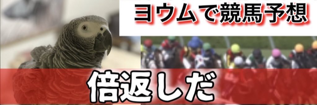 chickenman1003's profile banner image