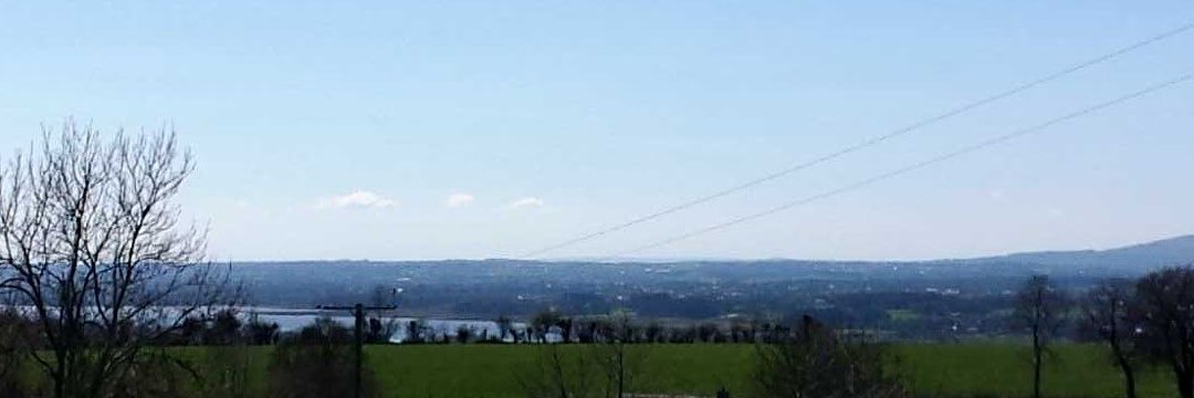 orla_doc's profile banner image