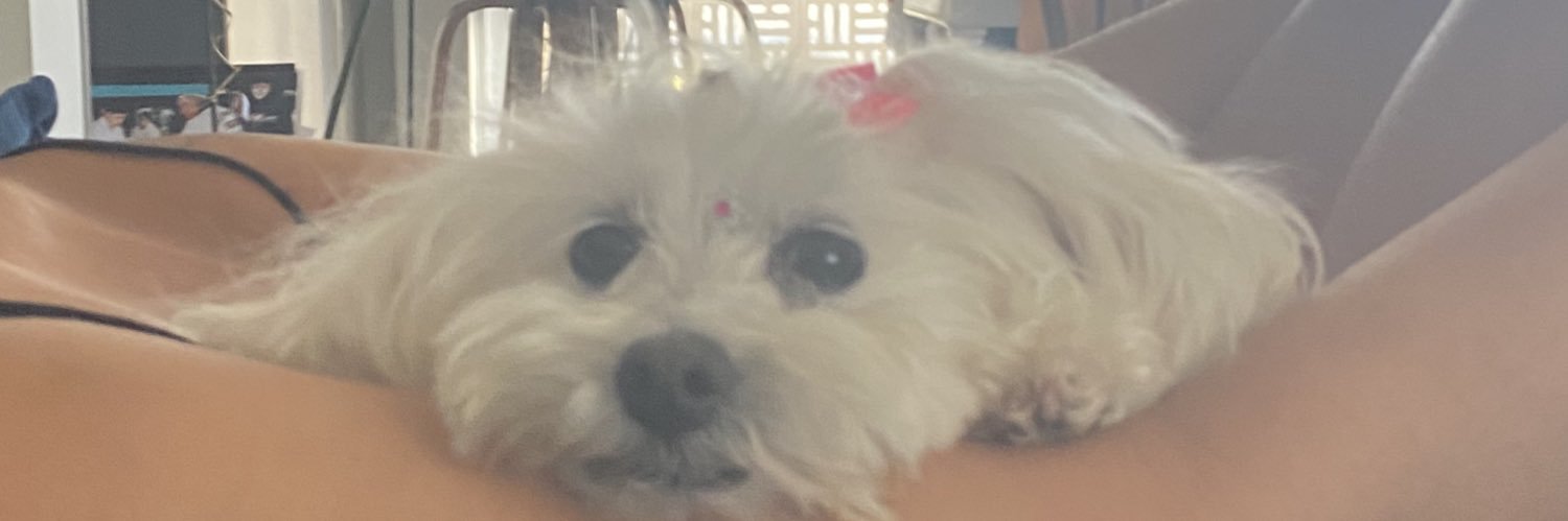 mxluturcxtto's profile banner image