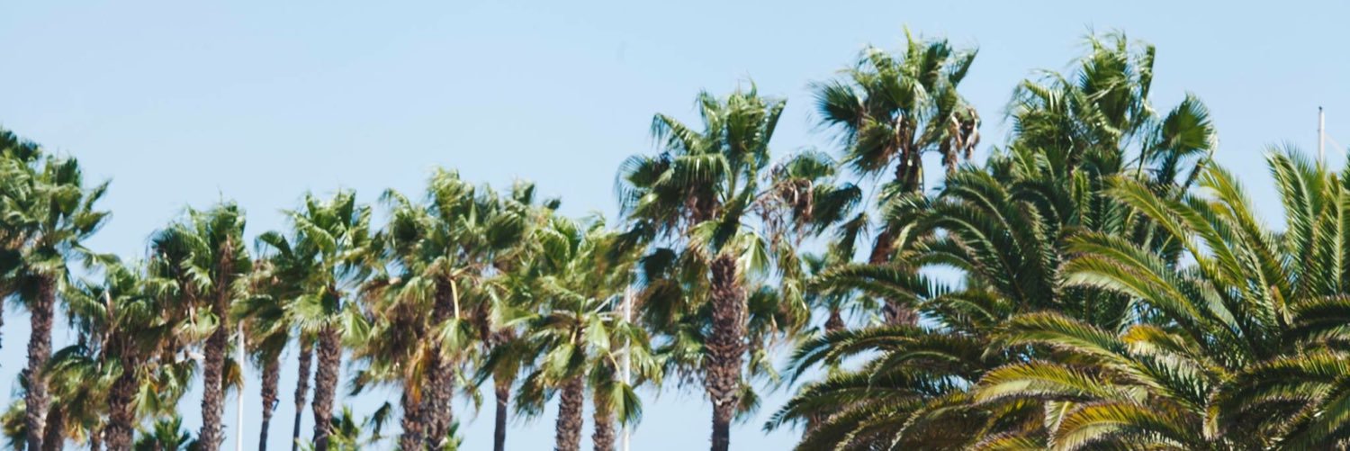 vakislife's profile banner image