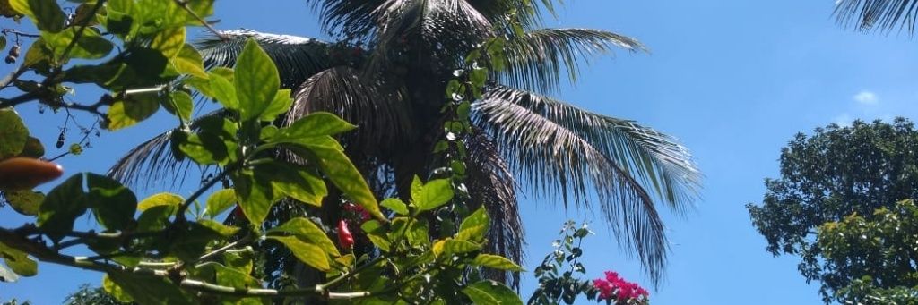 dllcostaa's profile banner image