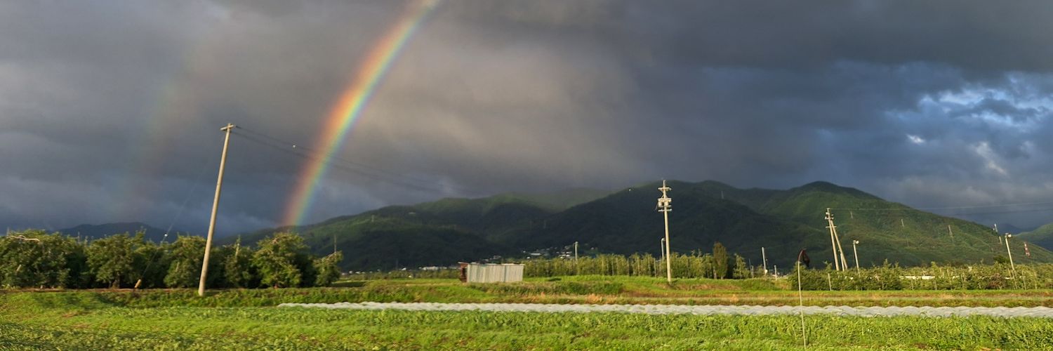 qun_24's profile banner image