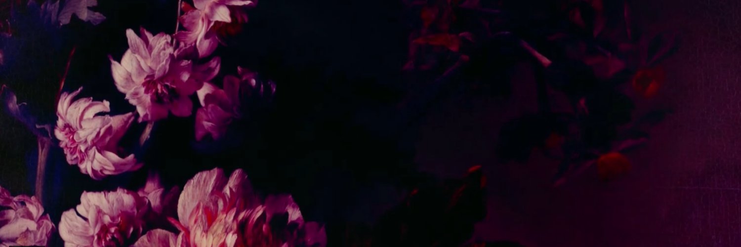 stefhej's profile banner image