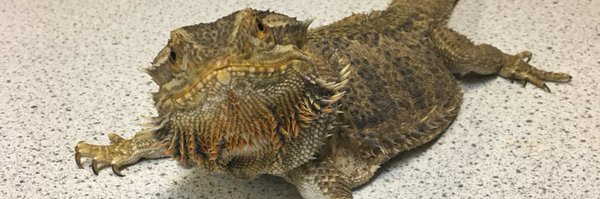 SJLScience Profile Banner