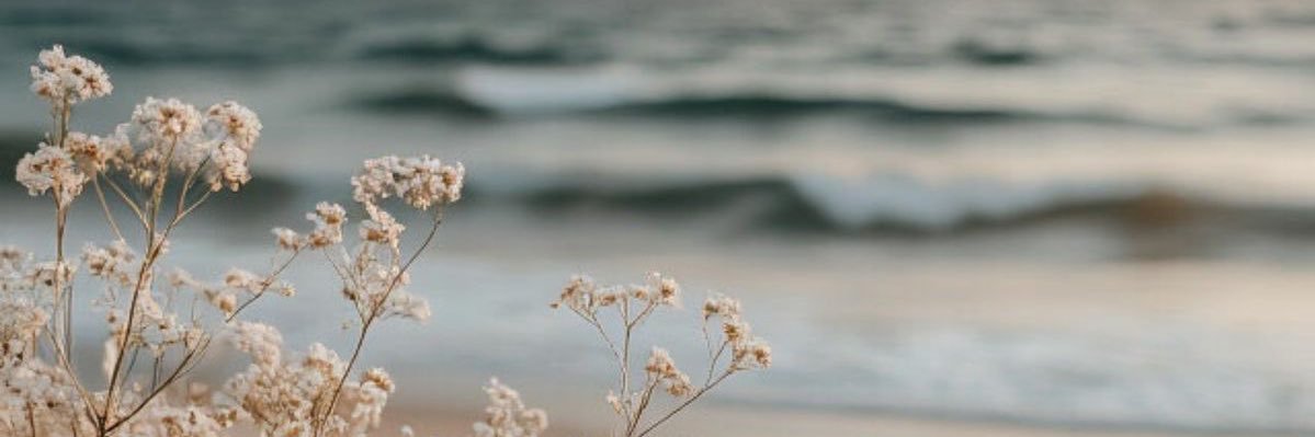ChloDedel's profile banner image